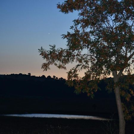Agriturismo Podere Micitto Usi Værelse billede