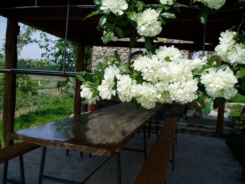 Agriturismo Podere Micitto Usi Eksteriør billede