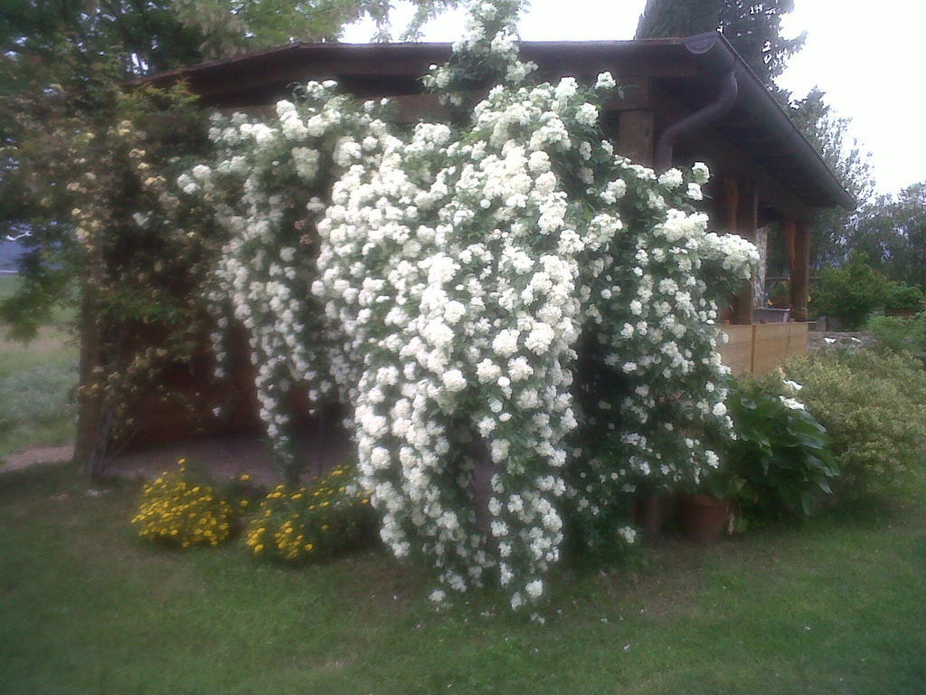 Agriturismo Podere Micitto Usi Eksteriør billede