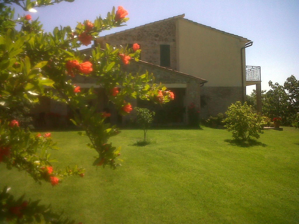 Agriturismo Podere Micitto Usi Eksteriør billede
