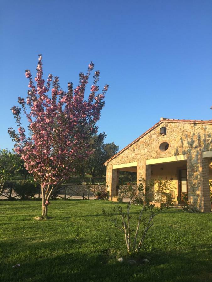 Agriturismo Podere Micitto Usi Eksteriør billede